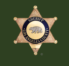 Los Angeles County Sheriff's Department, poloma, race car, plane crash